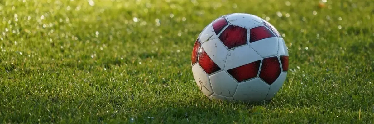 A match ball resting on dew-covered grass in low early-morning sunlight.